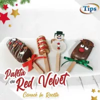 Paleta de Red Velvet TIPS RA0000405