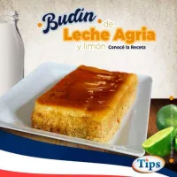 Budin de Leche Agria y Limon TIPS RA0000313