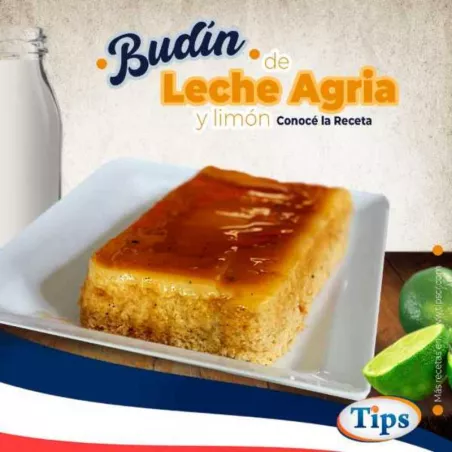Budin de Leche Agria y Limon TIPS RA0000313