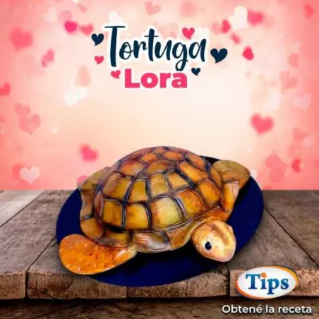 Tortuga Lora TIPS RA0000860