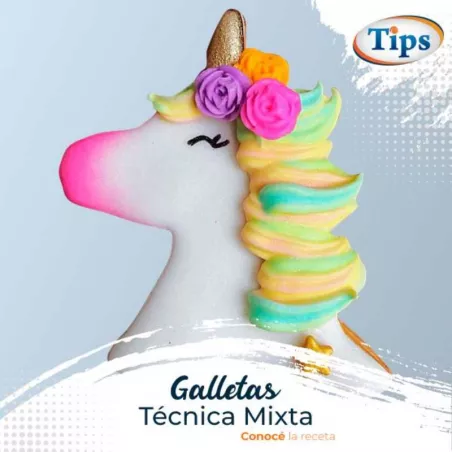 Galletas Tecnica Mixta TIPS RA0000654
