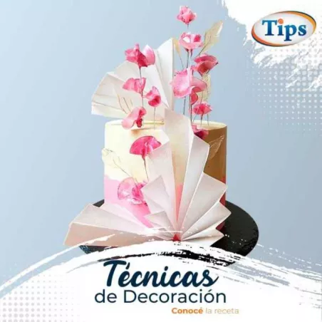 Tecnicas de Decoracion TIPS RA0000833
