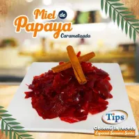 Miel de Papaya Caramelizada TIPS RA0000691
