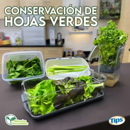 Conservacion de Hojas Verdes TIPS RA0001124