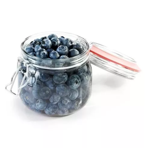 Frasco para Conserva con Abrazadera de 600 Mililitros TESCOMA 895143