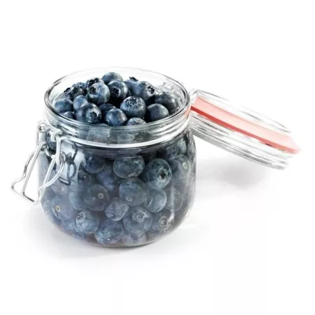 Frasco para Conserva con Abrazadera de 600 Mililitros TESCOMA 895143