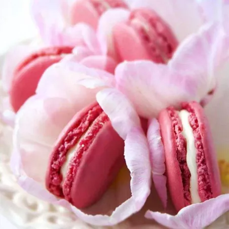 Colorante en Polvo Rosado de 15 Gramos ASTEK DT025