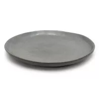 Plato Coupe Leon Redondo de 10 Pulgadas MASTER CHEF AZ82-2 2