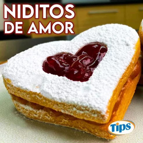 Niditos de amor TIPS RA0001132