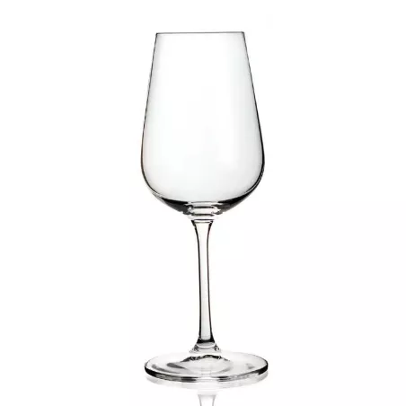 Copa para Vino Rojo de Policarbonato de 515 Mililitros MASTER CHEF X1004-515