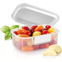 Contenedor de Freshzone de 20 x 16 Centigrados TESCOMA 891754 2