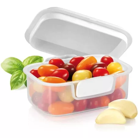 Contenedor de Freshzone de 20 x 16 Centigrados TESCOMA 891754