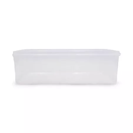 Contenedor Hermetico de Polipropileno de para 0.9 Litros 16.6 x 12 x 6 Centimetros  MASTER CHEF 608(B-2)