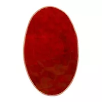 Plato de Ceramica Ovalado de 34.5 x 21 Centimetros de Color Cobre RUSTIC 20727-C