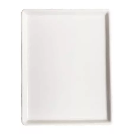 Plato de Ceramica Rectangular Coupe de 17 x 13 x 1 Centimetros BELLARTE LDK-G386