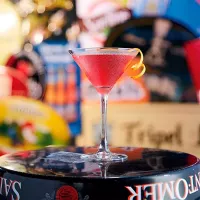 Copa de Martini Cabernet de 300 Mililitros ARC N6831 2