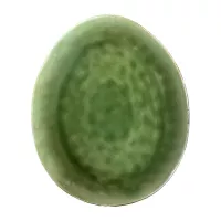 Plato Ovalado de Ceramica 28.5 x 24 Centimetros Verde BELLARTE LDX-P00220