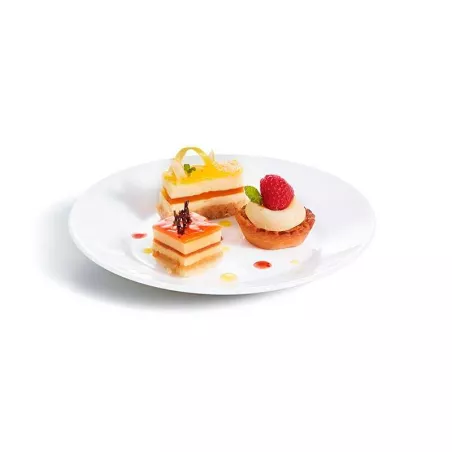 Plato de Vidrio Redondo de Borde Ancho para Restaurante de 22.6 Centimetros ARC 22514