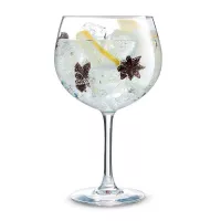 Copa de Gin Tonic Vina de 700 Mililitros ARC N2760 2