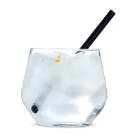 Copa Old Fashioned Vina de 350 Mililitros ARC N5995 2