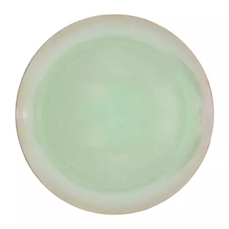 Plato de Ceramica Redondo de 26 Centimetros de Color Verde BELLARTE LDX-P00609