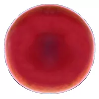 Plato Redondo de Ceramica de 27.5 Centimetros de Color Rojo BELLARTE LDX-P00718