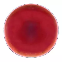 Plato de Ceramica Redondo de 20 Centimetros de Color Rojo BELLARTE LDX-P00719