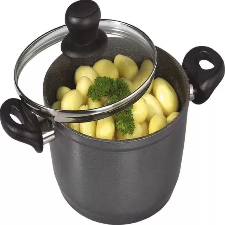 Olla de Aluminio de 24 Centimetros con Tapa de Vidrio STONELINE 7297