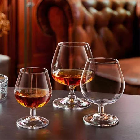 Copa de Degustacion de Brandy de 250 Mililitros ARC 62661