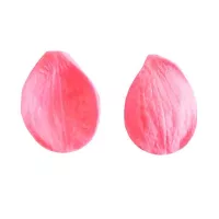 Texturizador de Silicon de Petalo de Rosa Grande CHERRY AND CAKE MSC1101