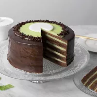 Esencia de Chocomenta de 20 Mililitros ASTEK DG-068 2