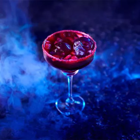 Moldes para Hielo de Calavera Gris Carbon, Set de 2 Unidades TOVOLO 22031-200