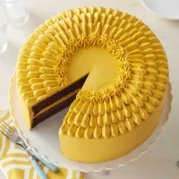 Colorante en Polvo Amarillo de 15 Gramos ASTEK DT001 2