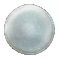 Plato Austin Redondo Coupe de Ceramica 11.5 Pulgadas Color Verde/Gris MASTER CHEF AZ15-2 2