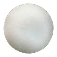 Plato Chicago Coupe de Ceramica 11 Pulgadas Color Crema MASTER CHEF AZ14-1 2