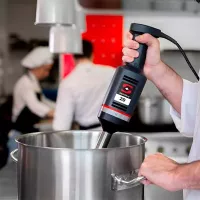 Licuadora Manual de Inmersion de Baston XM-22 de 110V de 30 Centimetros SAMMIC 3030758 2