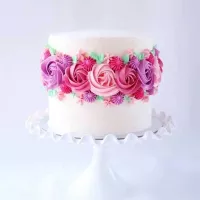 Colorante Liquido Fucsia de 35 Mililitros ASTEK FT010 2