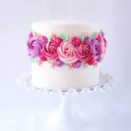 Colorante Liquido Fucsia de 35 Mililitros ASTEK FT010