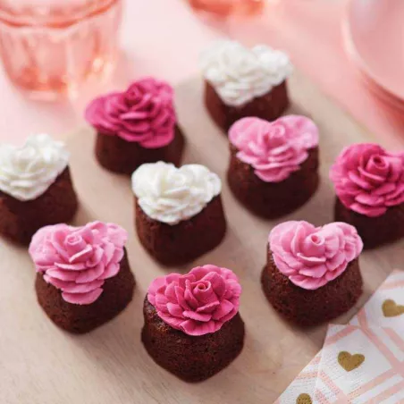 Colorante Liquido Fucsia de 35 Mililitros ASTEK FT010