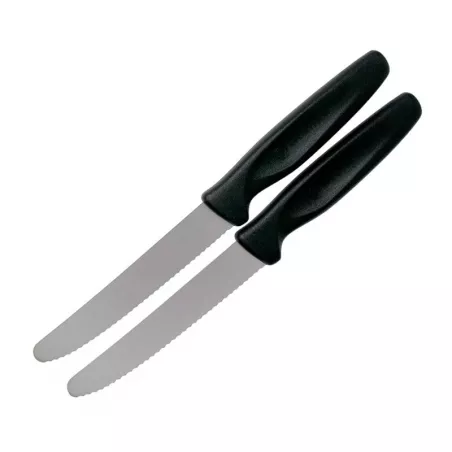 Cuchillo para Carne de Punta Redonda de 10 Centimetros con Puno Negro, Set de 2 Unidades WUSTHOF 1145360101