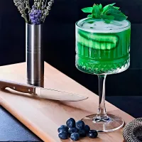 Copa Gin Tonic Elysia de 16.75 Onzas PASABAHCE 440437 2