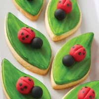 Colorante en Gel Verde Hoja de 40 Gramos ASTEK ZT012 2