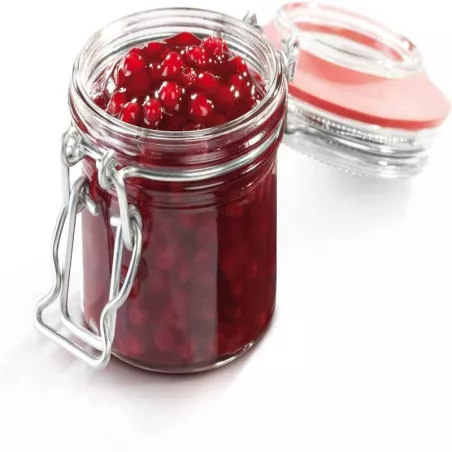 Frasco para Conserva con Abrazadera de 100 Mililitros TESCOMA 895140