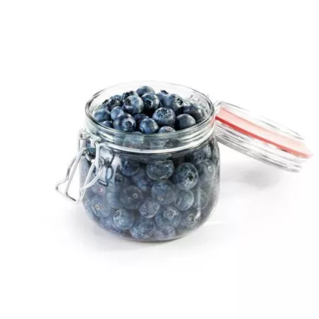 Frasco para Conserva con Abrazadera de 600 Mililitros TESCOMA 895143