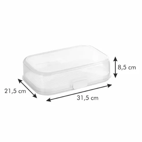 Contenedor de Freshzone de 30 x 20 Centimetros TESCOMA 891756