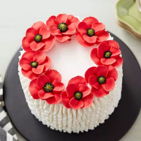 Colorante Liquido Rojo de 35 Mililitros ASTEK FT003