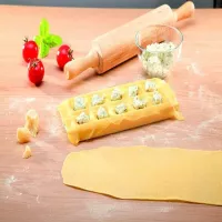 Molde para Ravioles Cuadrados con 10 Cavidades TESCOMA 630877 2